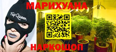 сатива Гатчина