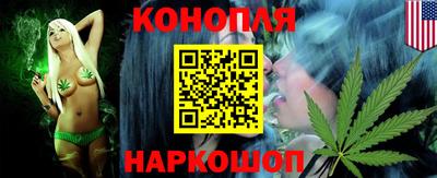 индика Гай