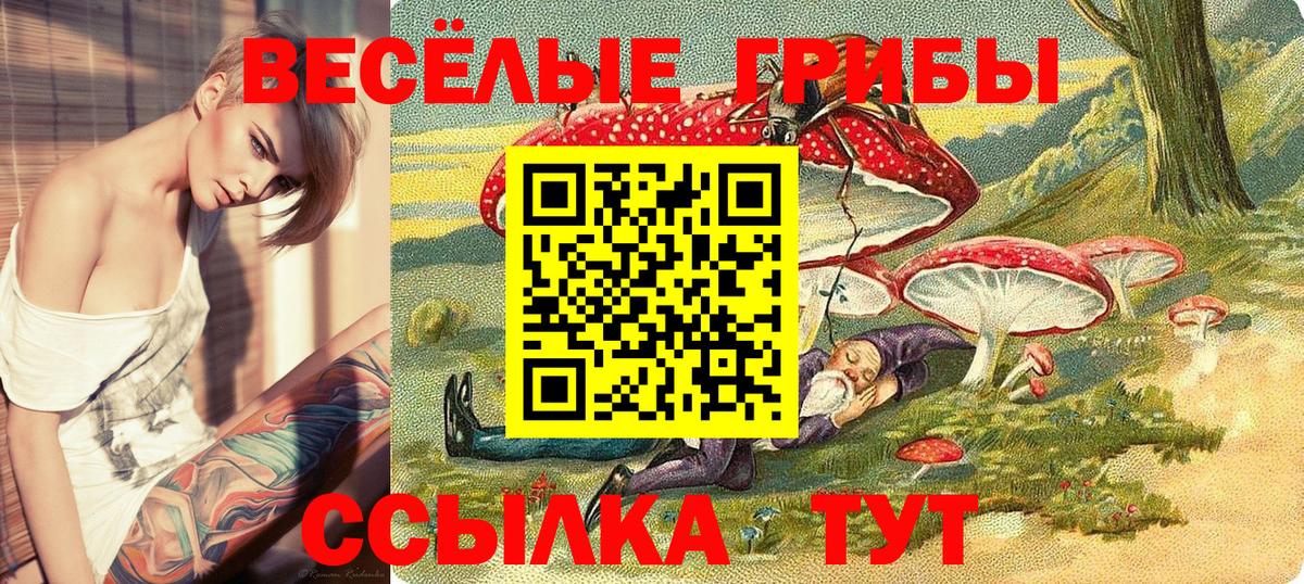 Галлюциногенные грибы мухоморы Городец