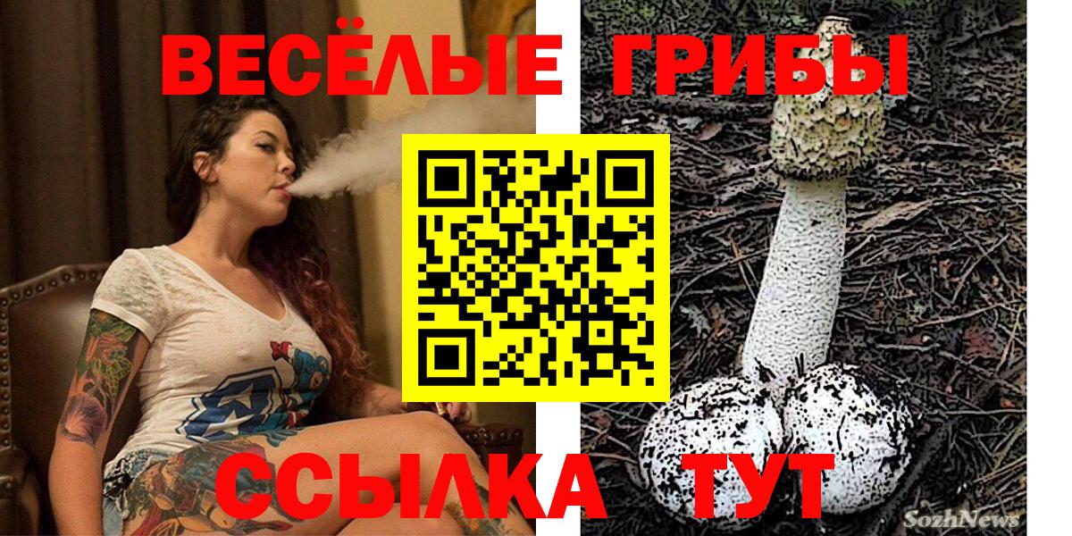 Городец  Галлюциногенные грибы GOLDEN TEACHER  Вход с VPN 